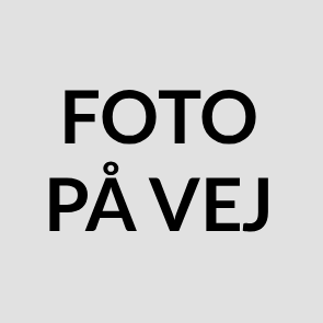 foto-paa-vej (1)